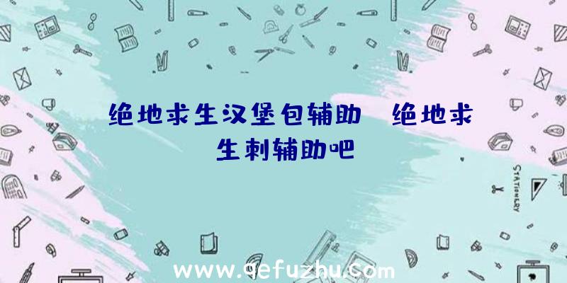 「绝地求生汉堡包辅助」|绝地求生刺辅助吧